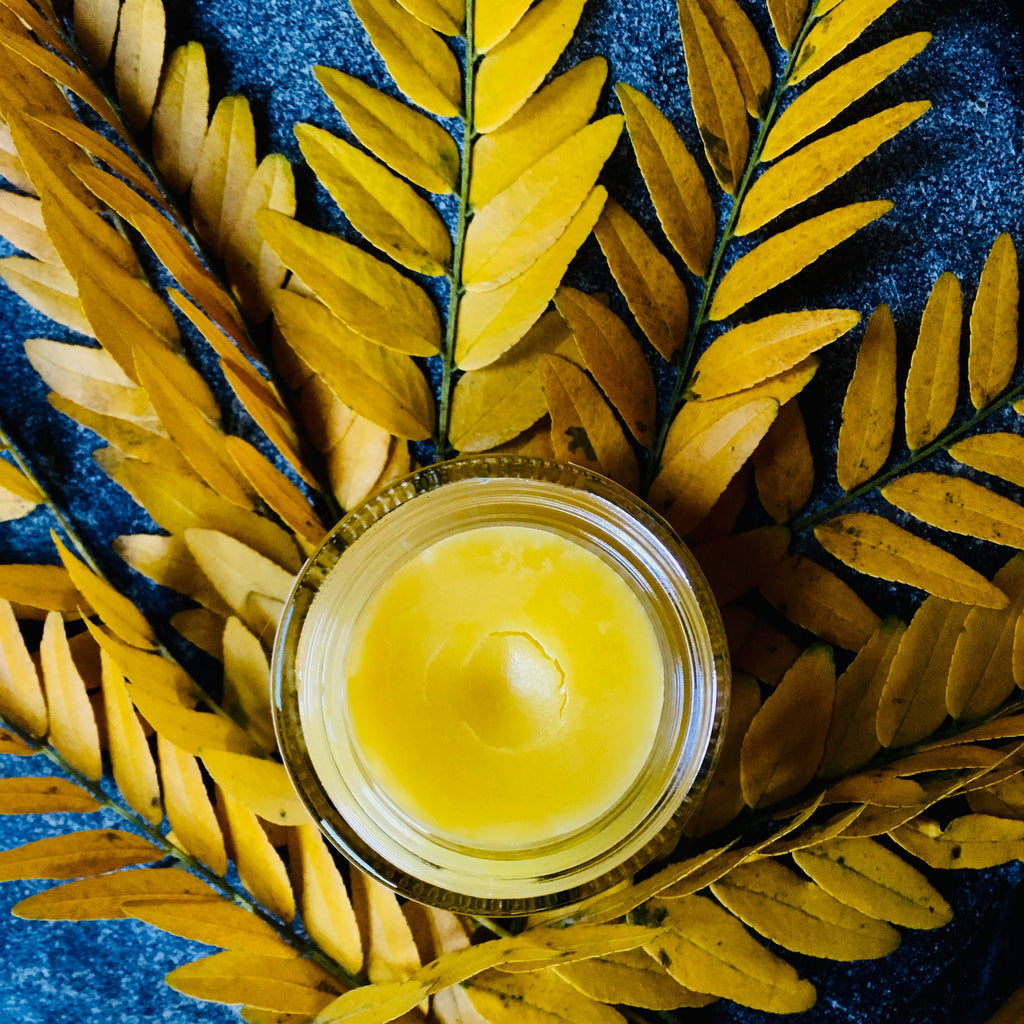 Iterrator Balm IMMORTELLE BEAUTY BALM 1.0 oz – ISA SKIN CARE